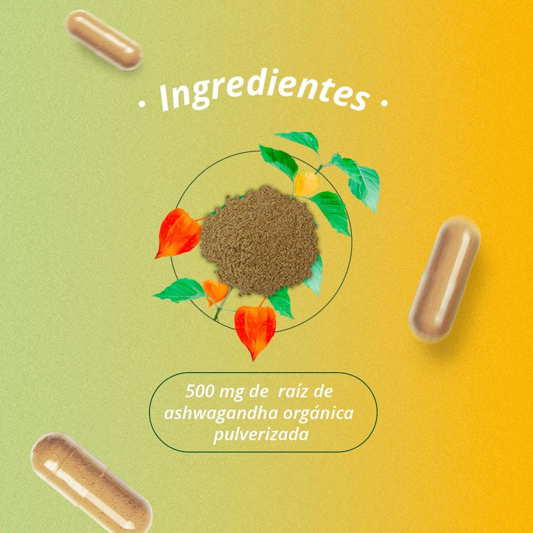 🍃 Ashwagandha - Adios Estrés y Multivitaminas 💯